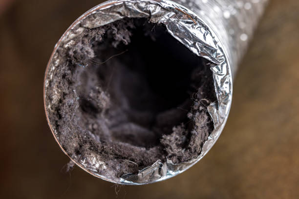 Best HVAC Duct Inspection Services  in Stokesdale, NC